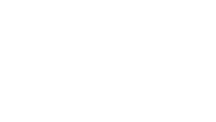 okoalifestyle logo